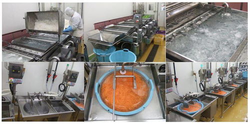 微酸性电解水在日本食品加工厂中的应用实例